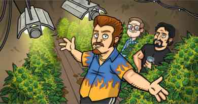 Trailer Park Boys Greasy Money MOD APK