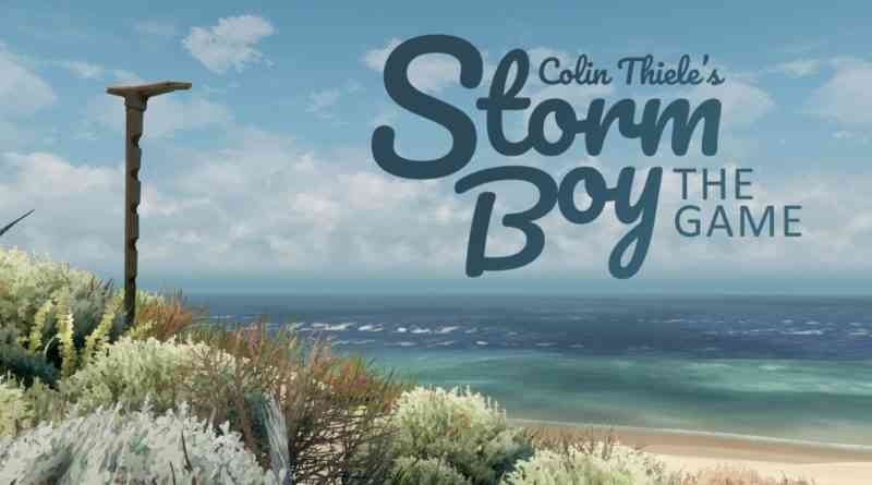 Storm Boy APK MOD